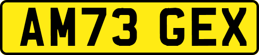 AM73GEX