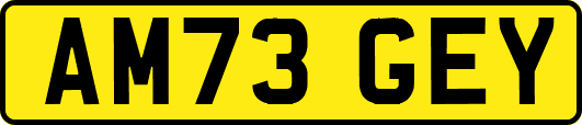 AM73GEY