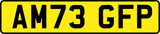 AM73GFP
