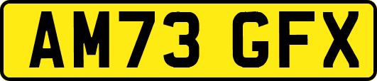 AM73GFX