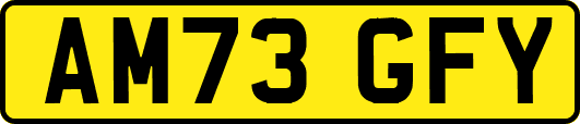 AM73GFY