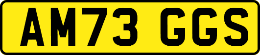 AM73GGS