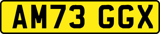 AM73GGX
