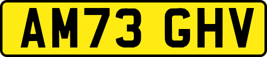 AM73GHV