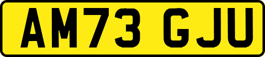 AM73GJU
