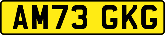 AM73GKG