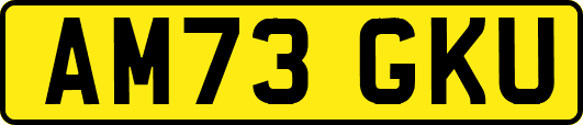 AM73GKU