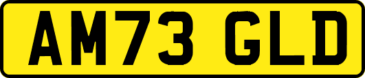AM73GLD