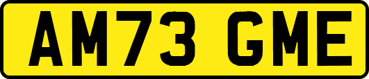 AM73GME