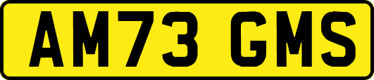 AM73GMS