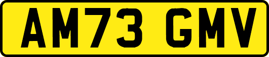 AM73GMV