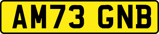 AM73GNB