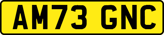 AM73GNC