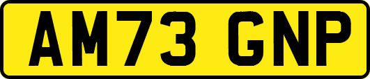 AM73GNP