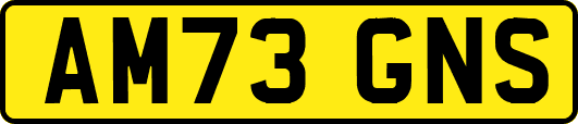AM73GNS