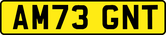 AM73GNT