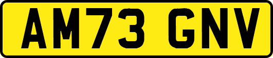 AM73GNV