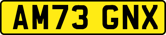AM73GNX