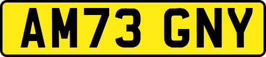 AM73GNY