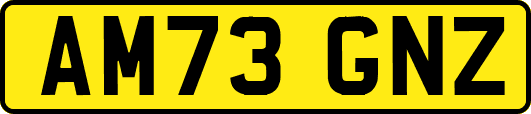 AM73GNZ