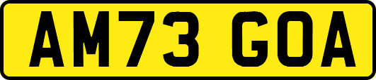 AM73GOA