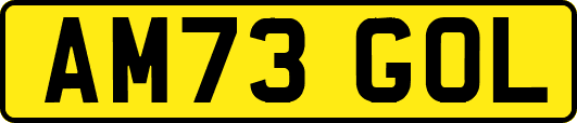 AM73GOL