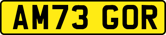 AM73GOR