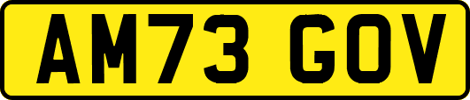 AM73GOV