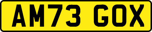 AM73GOX