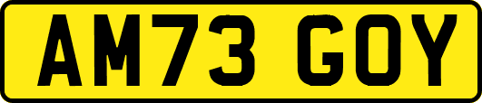 AM73GOY