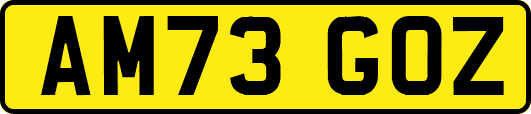 AM73GOZ