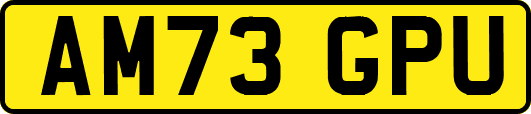 AM73GPU