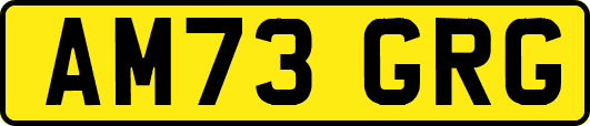 AM73GRG