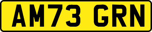 AM73GRN