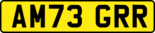 AM73GRR