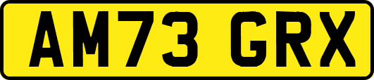 AM73GRX
