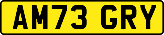 AM73GRY