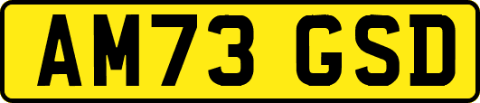 AM73GSD