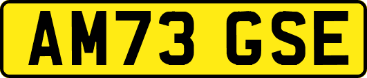 AM73GSE