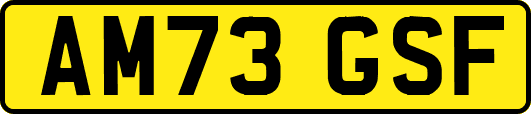 AM73GSF