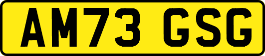 AM73GSG