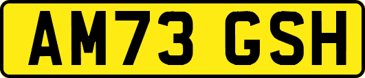 AM73GSH