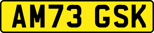 AM73GSK