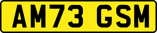 AM73GSM