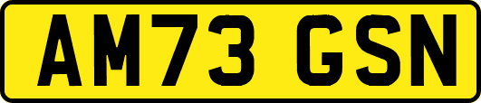 AM73GSN