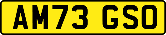 AM73GSO