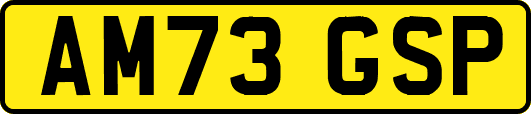 AM73GSP