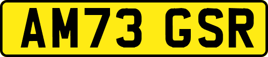 AM73GSR