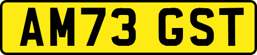 AM73GST