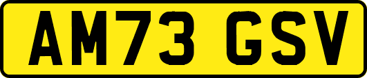 AM73GSV